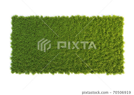 Small square surface covered with grass, grass podium top view, lawn background 3d rendering Small square surface covered with grass, grass podium top view, lawn background 3d rendering 70506919