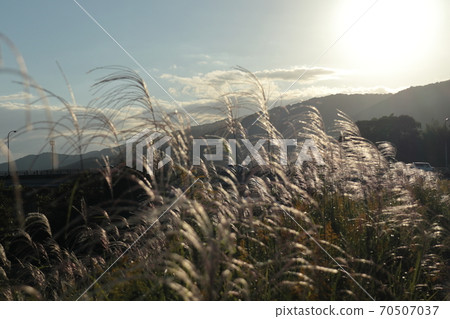 鈴木和太陽和山橋 70507037