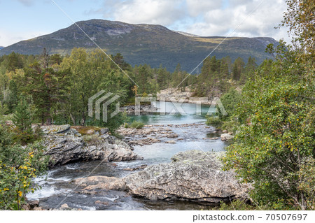 Sunny day by the cold sparkling river in pine forest mountains of Norway 70507697