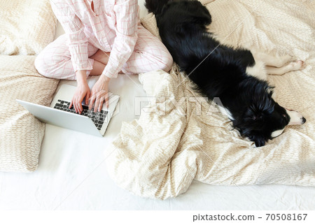 Mobile Office at home. Young woman in pajamas sitting on bed with pet dog working using on laptop pc computer at home. Lifestyle girl studying indoors. Freelance business quarantine concept. 70508167
