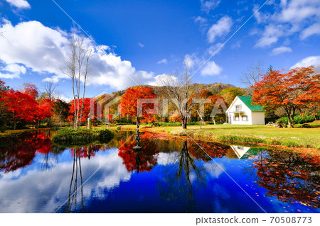 北海道的秋葉 北海道的秋葉 70508773
