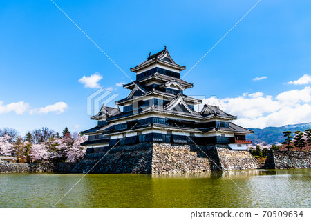 長野縣松本市松本城堡和櫻花（城堡塔和內chi的概述） 70509634