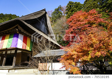 水石山，永元寺附近的秋葉 70510195