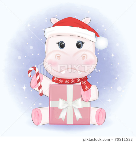 Cute Hippo with gift box in winter and Christmas illustration. 70511552