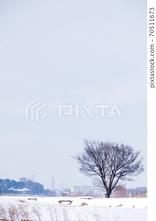 "Saitama Prefecture" A tree and a snowy landscape standing in the Minuma rice field "Saitama Prefecture" A tree and a snowy landscape standing in the Minuma rice field 70511673