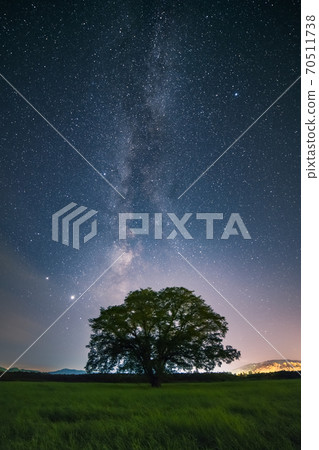 Toyokoro Town Harunire Tree and Milky Way 70511738