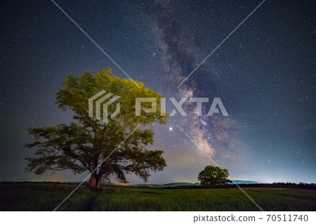 Toyokoro Town Harunire Tree and Milky Way 70511740