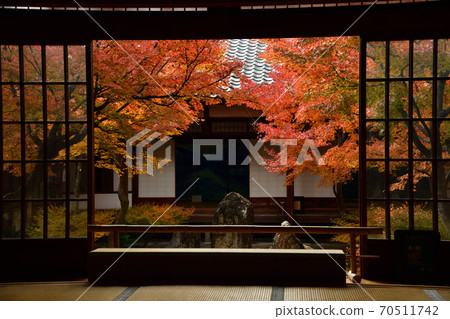Autumn leaves of Kenninji 70511742