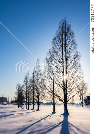 “ Sa玉縣”荒川河床積雪景象 70511777