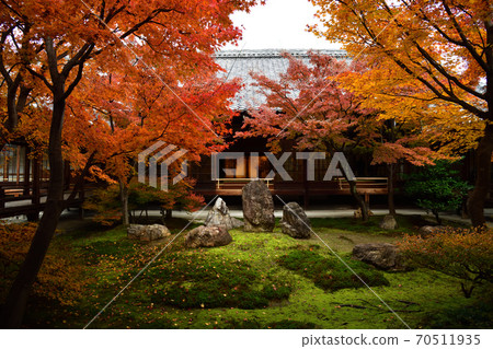 Autumn leaves of Kenninji Autumn leaves of Kenninji 70511935