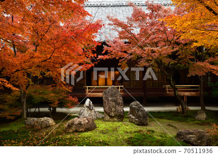 Autumn leaves of Kenninji Autumn leaves of Kenninji 70511936