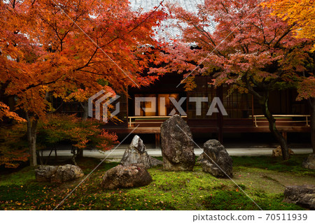 Autumn leaves of Kenninji Autumn leaves of Kenninji 70511939