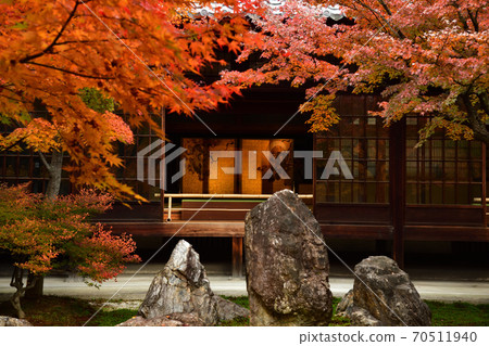 Autumn leaves of Kenninji Autumn leaves of Kenninji 70511940