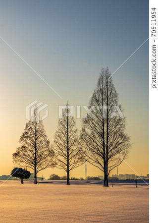 荒川河床的雪被日出染成的“ Sa玉縣”雪景 70511954