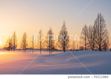 "Saitama Prefecture" Snow scene where the Arakawa riverbed of snow is dyed by the sunrise "Saitama Prefecture" Snow scene where the Arakawa riverbed of snow is dyed by the sunrise 70511960