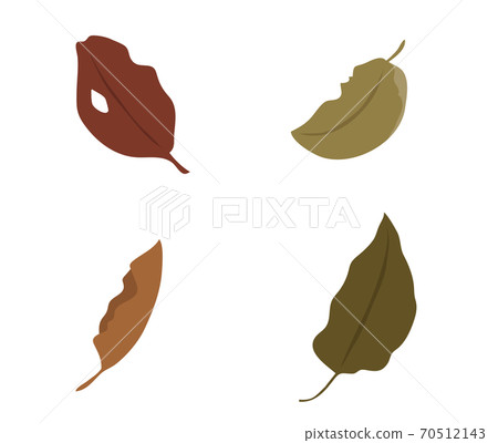 Dead leaves fallen leaves 70512143