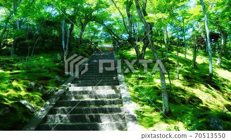京都S峨野下寺寺 70513550