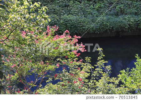 水邊薩爾茲伯里 70513845