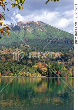 Autumn scenery of Hokkaido: Autumn leaves of Onneto 70514211