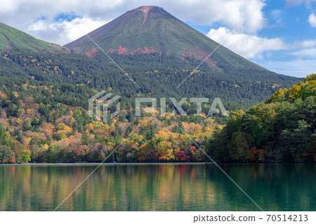 Autumn scenery of Hokkaido: Autumn leaves of Onneto 70514213