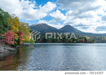 北海道的秋色:Onneto的秋葉 北海道的秋色:Onneto的秋葉 70514307