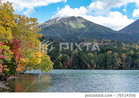 北海道的秋色:Onneto的秋葉 北海道的秋色:Onneto的秋葉 70514308