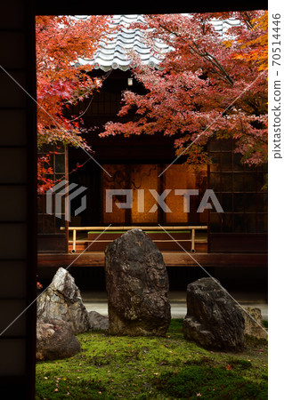 Autumn leaves of Kenninji Autumn leaves of Kenninji 70514446