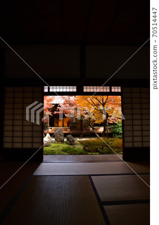 Autumn leaves of Kenninji 70514447