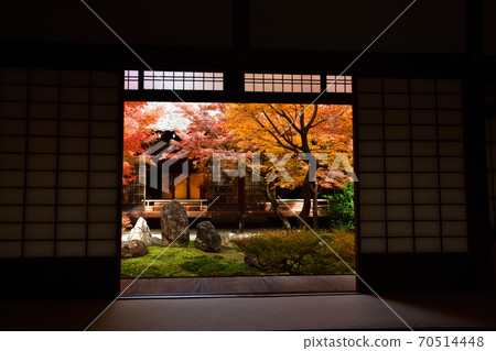 Autumn leaves of Kenninji Autumn leaves of Kenninji 70514448