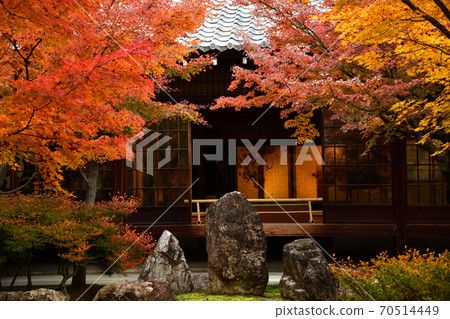 Autumn leaves of Kenninji Autumn leaves of Kenninji 70514449