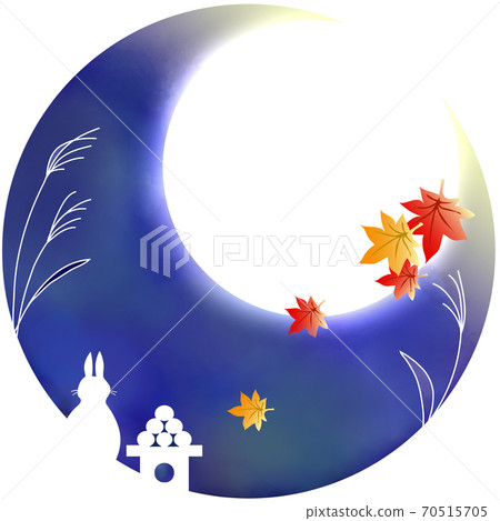 Mid-autumn moon maple Mid-autumn moon maple 70515705