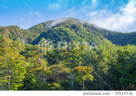 Prefectural Akagi Park Scenery from the vicinity of Akagi Shrine precincts Early autumn scenery Prefectural Akagi Park Scenery from the vicinity of Akagi Shrine precincts Early autumn scenery 70515716