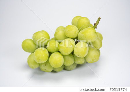 白葡萄閃耀馬斯喀特 70515774