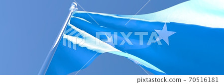 3D rendering of the national flag of Micronesia waving in the wind 70516181