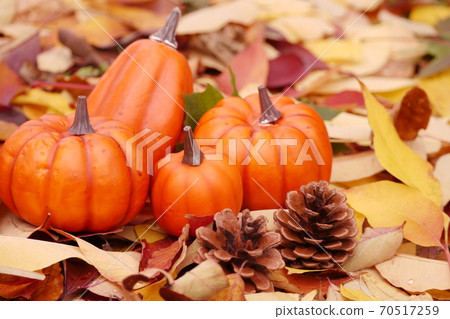 Fall landscape Fall landscape 70517259