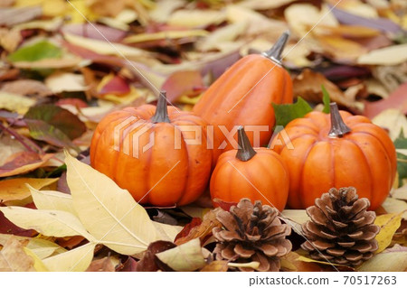 Fall landscape Fall landscape 70517263