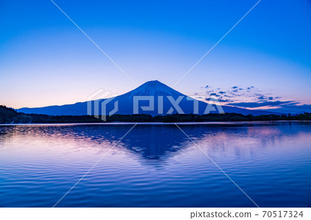[靜岡縣]富士山，狸樹湖，日出 70517324