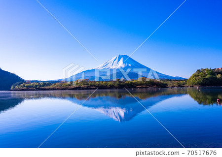 [Yamanashi] Mt. Fuji seen from the shores of Lake Shoji 70517676