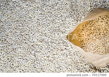 solid raw grain of pearl barley solid raw grain of pearl barley 70517999