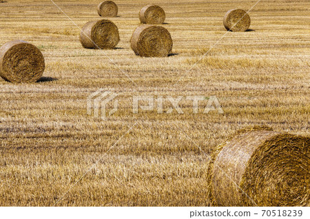 stubble and straw stacks stubble and straw stacks 70518239