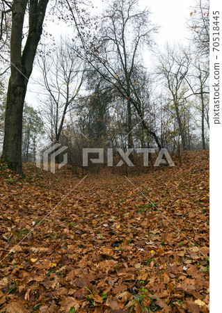 autumn season autumn season 70518445