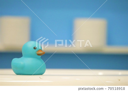 Twilight blue duck Twilight blue duck 70518918