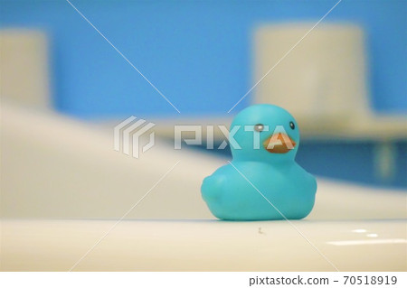 Duck from the front Duck from the front 70518919