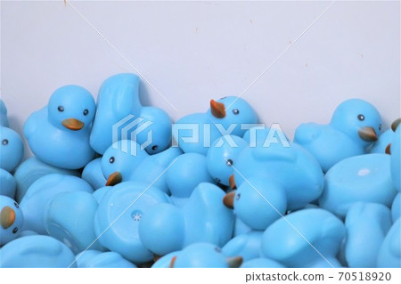Many blue ducks Many blue ducks 70518920