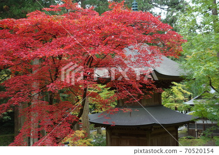 永平寺的紅葉(第二部分) 永平寺的紅葉(第二部分) 70520154