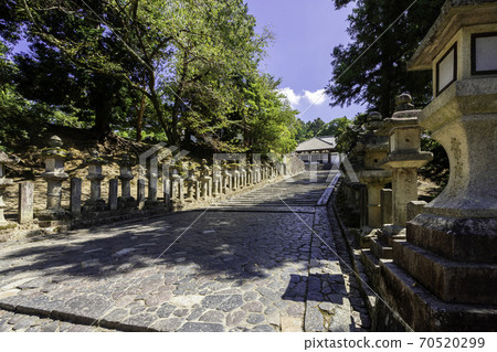 奈良縣奈良市三月堂東大寺斜 70520299