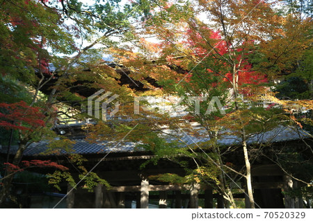 Eikenji Eikenji 70520329