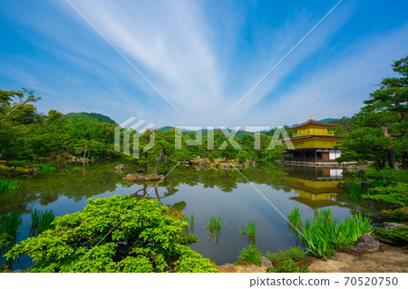 京都金閣寺初夏 70520750