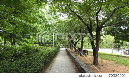 Seoul Forest 70520901