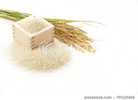 飯 飯 70520940